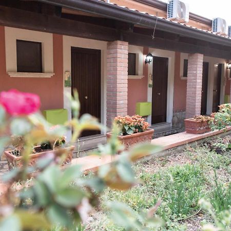 Il Sorgituro - Agriturismo Postiglione Dış mekan fotoğraf