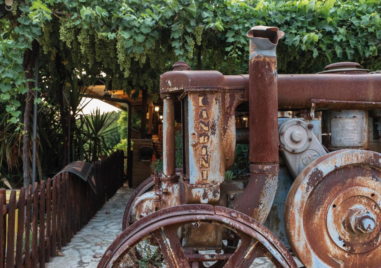 Il Sorgituro - Agriturismo Postiglione Dış mekan fotoğraf