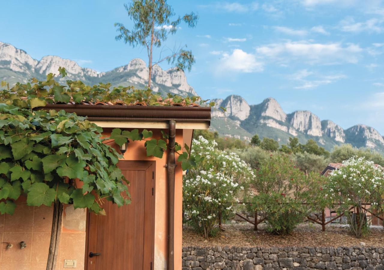 Il Sorgituro - Agriturismo Postiglione Dış mekan fotoğraf