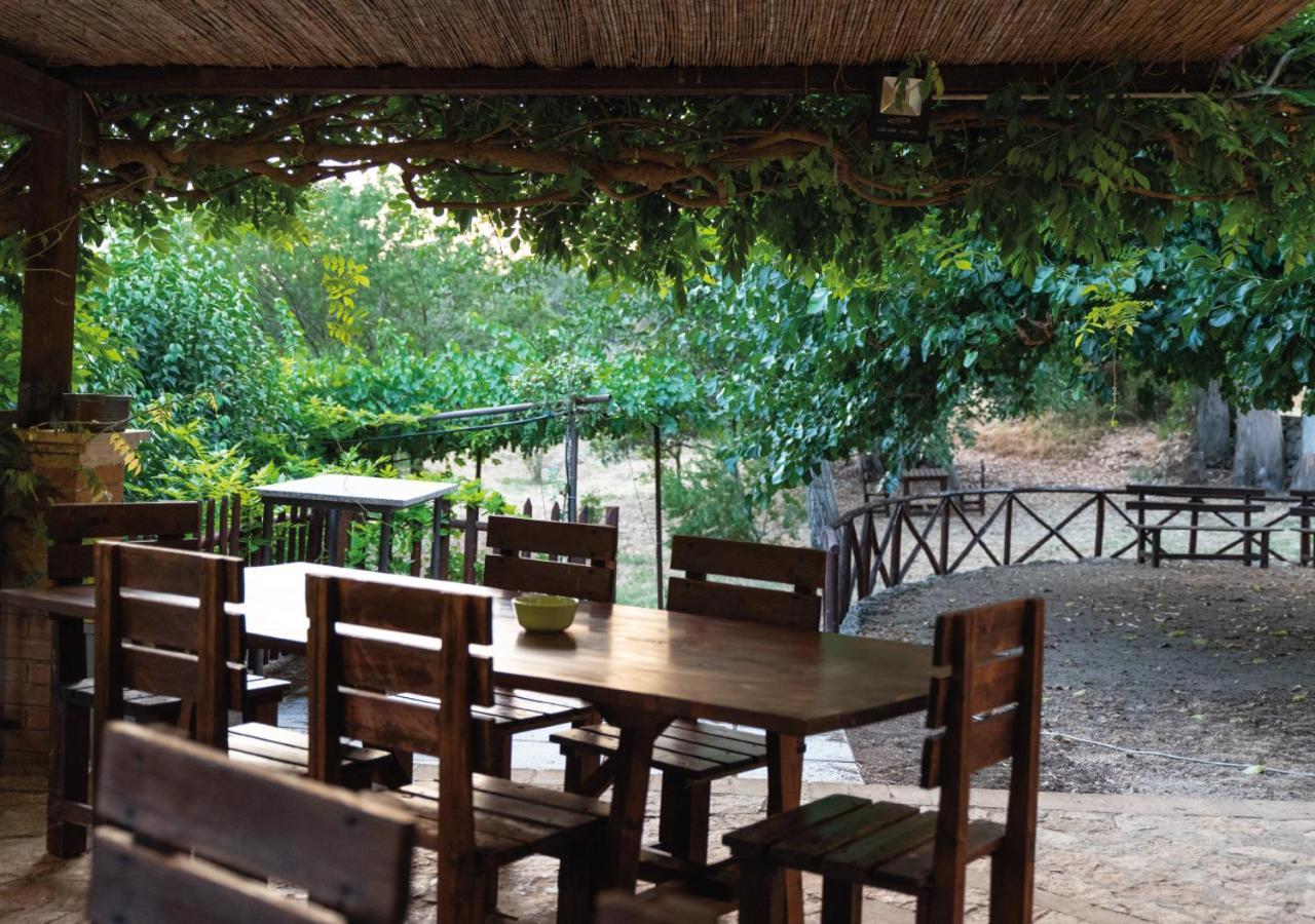 Il Sorgituro - Agriturismo Postiglione Dış mekan fotoğraf