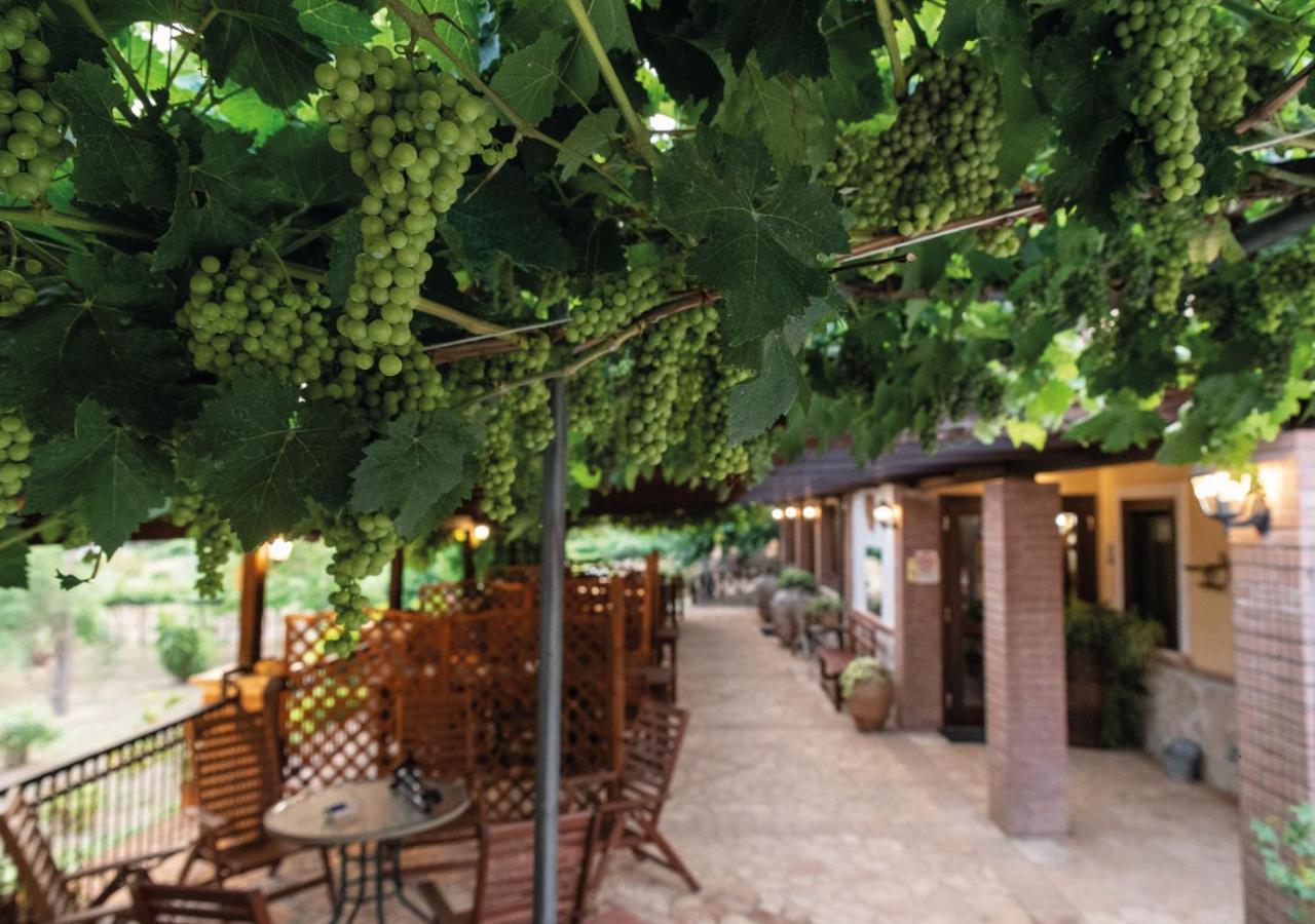 Il Sorgituro - Agriturismo Postiglione Dış mekan fotoğraf