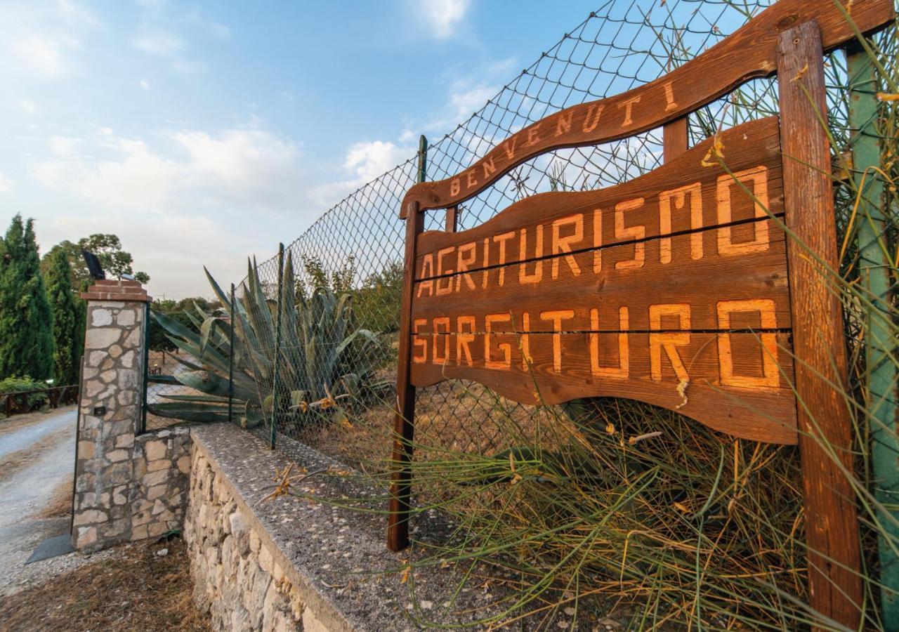 Il Sorgituro - Agriturismo Postiglione Dış mekan fotoğraf