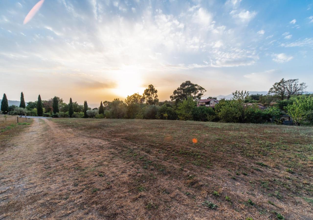 Il Sorgituro - Agriturismo Postiglione Dış mekan fotoğraf